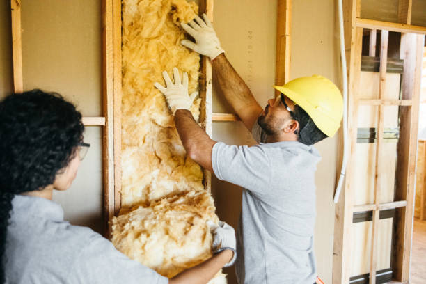 Best Home Insulation Services  in Crockett, TX